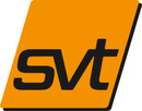 Logo svt Brandsanierung GmbH in Barleben